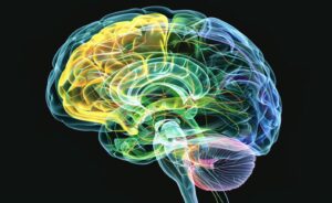 Maximizando o Potencial: Altas Habilidades e…