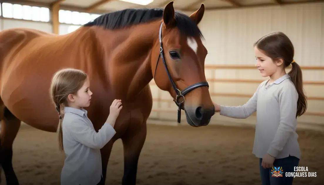  Quem pode aplicar a equoterapia: profissionais e formação exigida