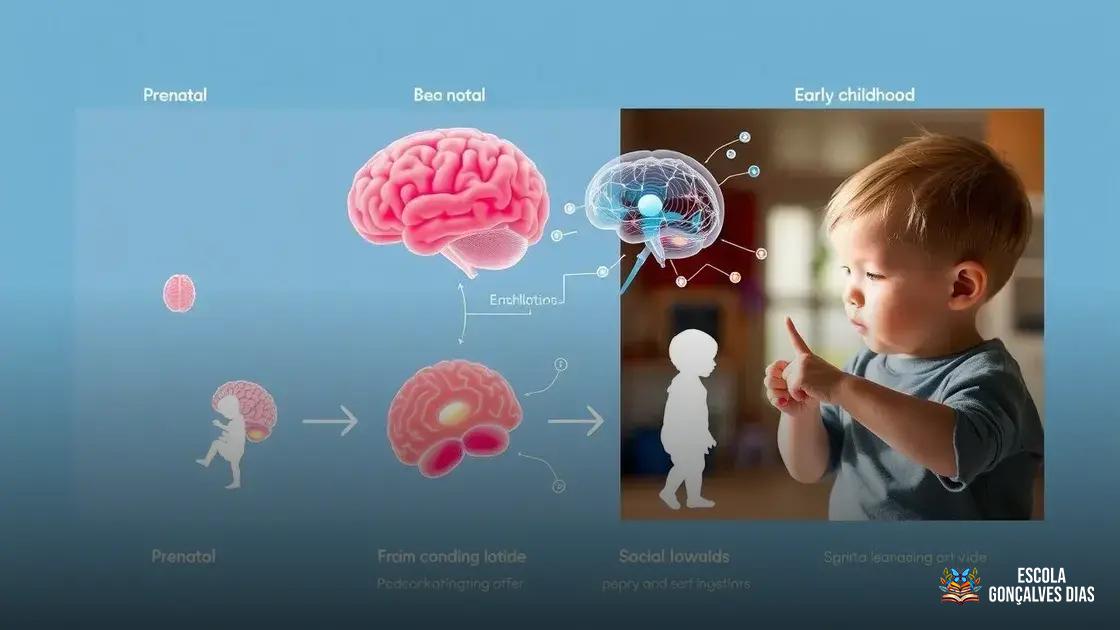  Principais Etapas do Desenvolvimento do Cérebro Infantil