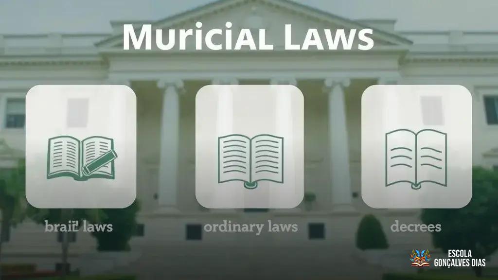  Principais tipos de leis municipais: orgânica, ordinária, complementar e decretos